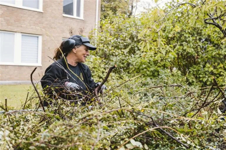 Fastighetsskötare som klipper en häck.