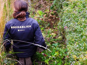 Fastighetsskötare som jobbar med trådgårdsskötsel för brf i uppsala