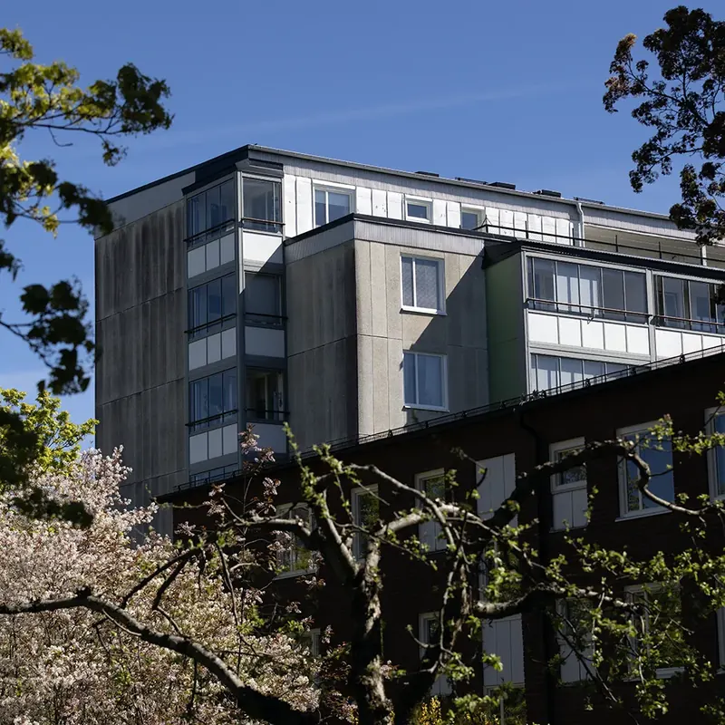 Flerbostadshus i Brf Mörbyskogen som Bredablick förvaltar med grönskande träd och blommande buskar.